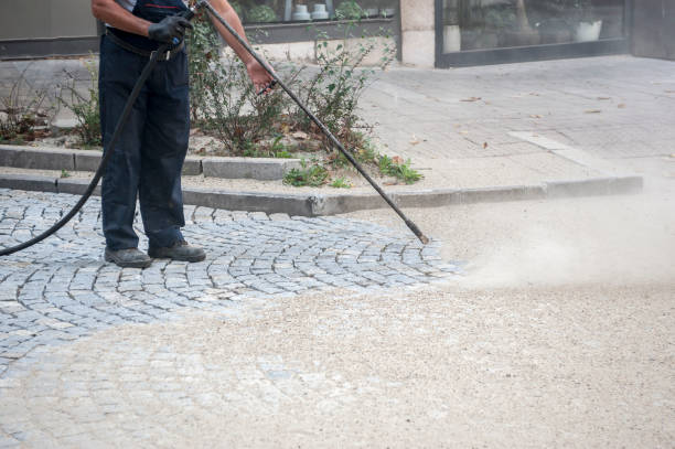 Animal Enclosure Cleaning in Augusta, GA